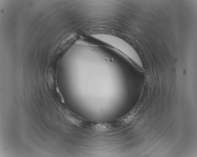 X0000068770566200605191651