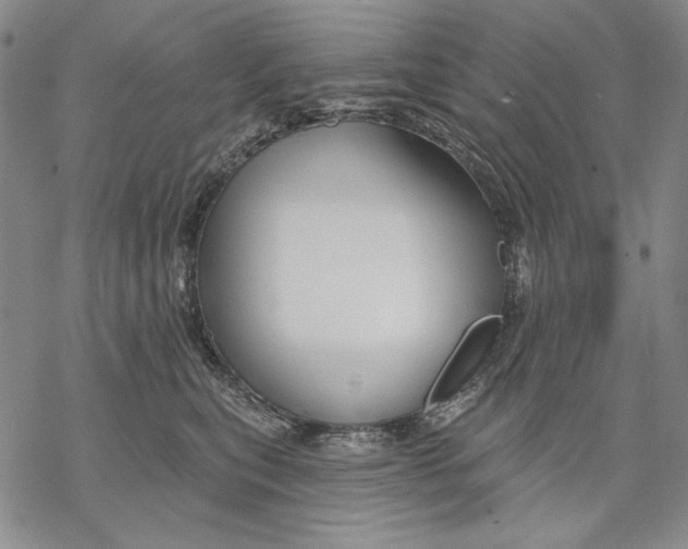 X0000068770567200605191651