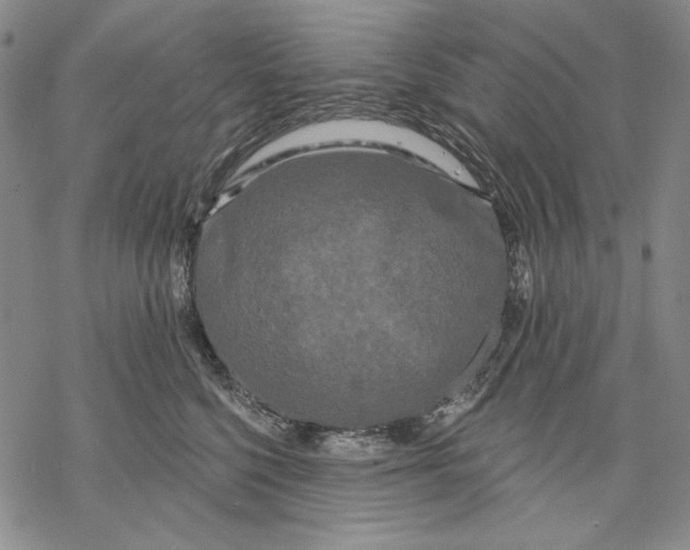 X0000068770568200605191651