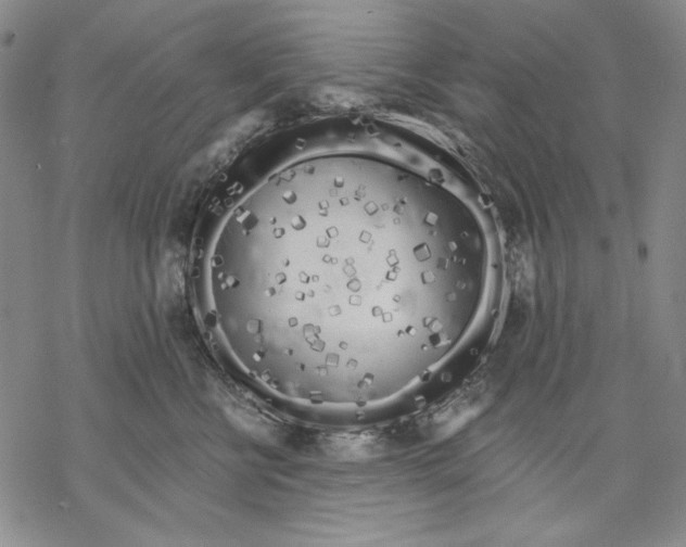 X0000068770570200605191651