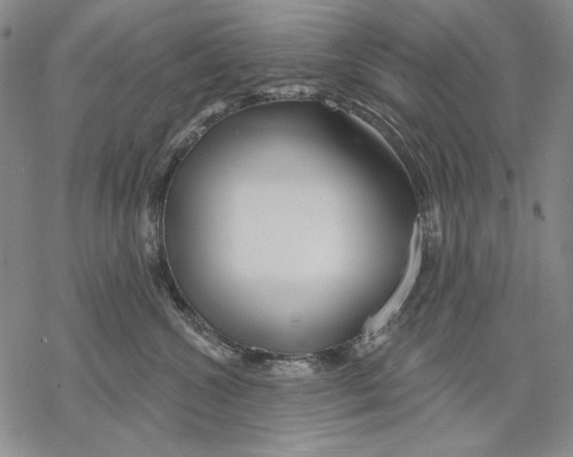 X0000068770572200605191651