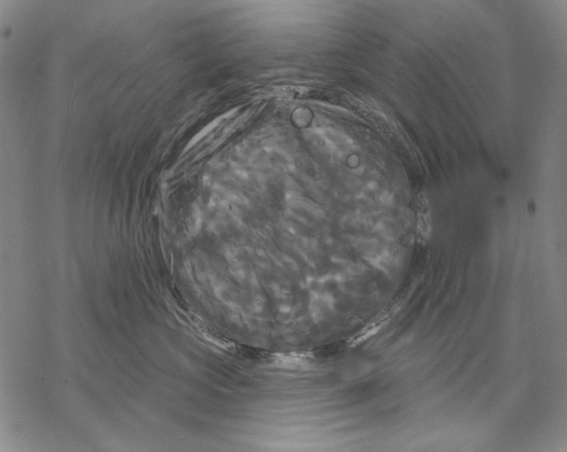 X0000068770573200605191651