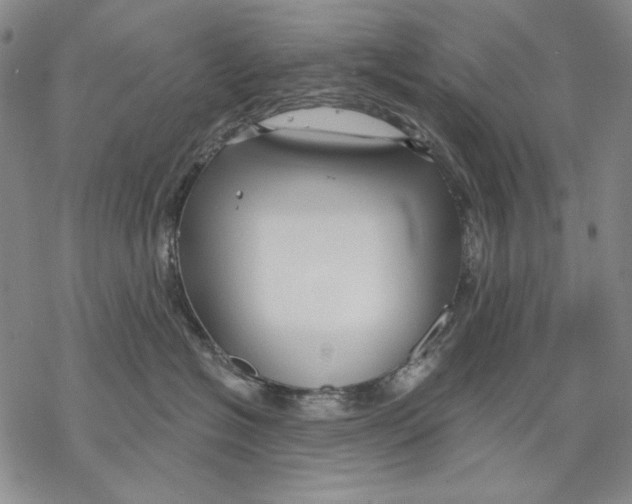 X0000068770574200605191651