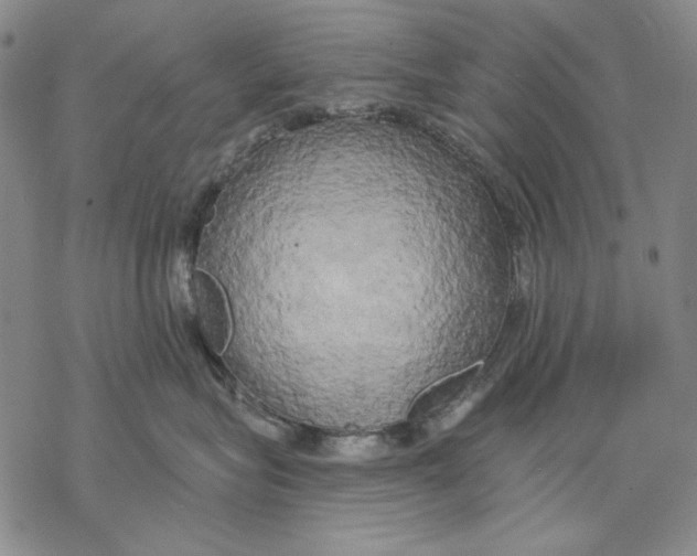 X0000068770575200605191651