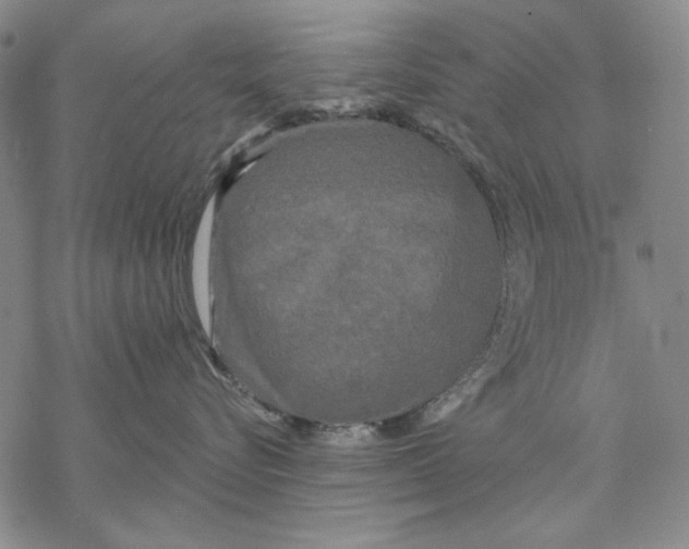 X0000068770576200605191651