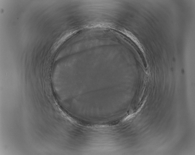 X0000068770577200605191650