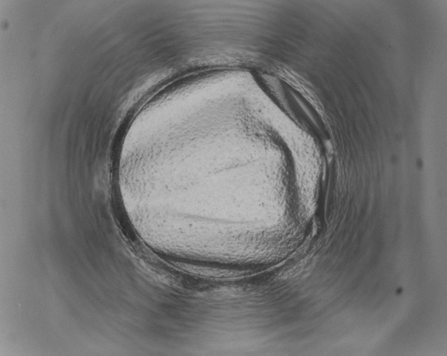 X0000068770578200605191650