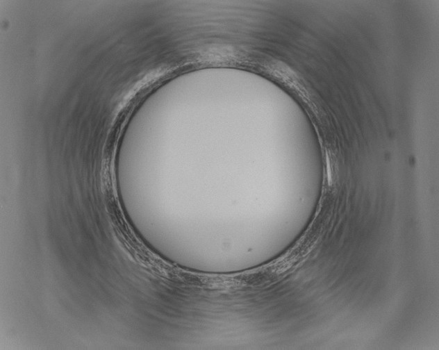 X0000068770579200605191650