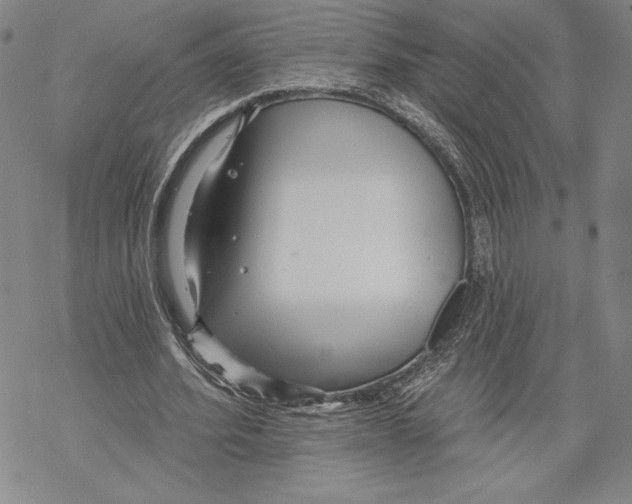 X0000068770580200605191650