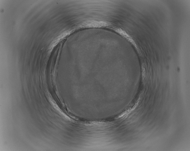 X0000068770581200605191650