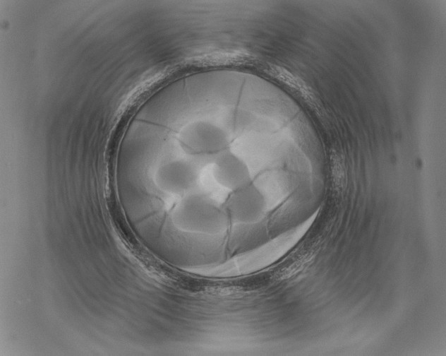 X0000068770582200605191650