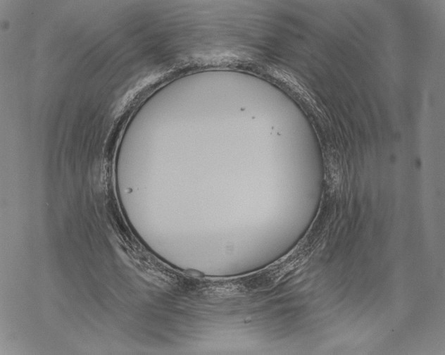 X0000068770583200605191650