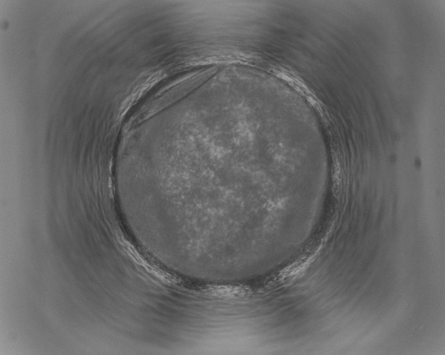 X0000068770585200605191650