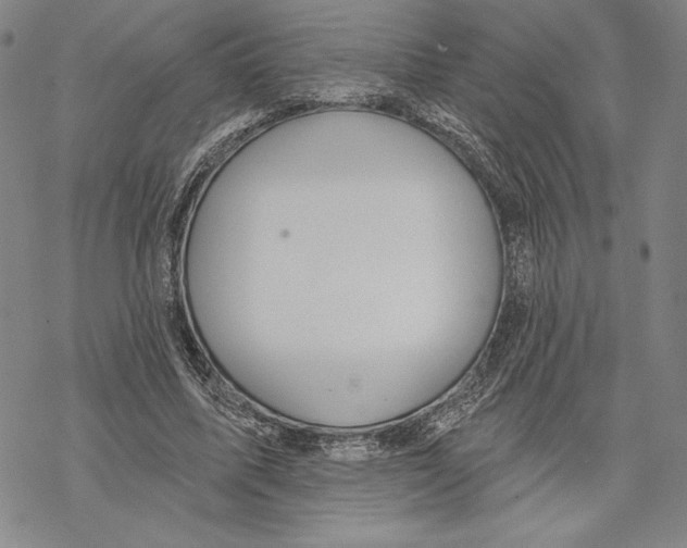 X0000068770587200605191650