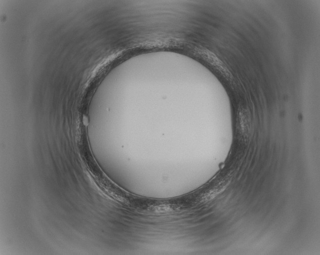 X0000068770588200605191650