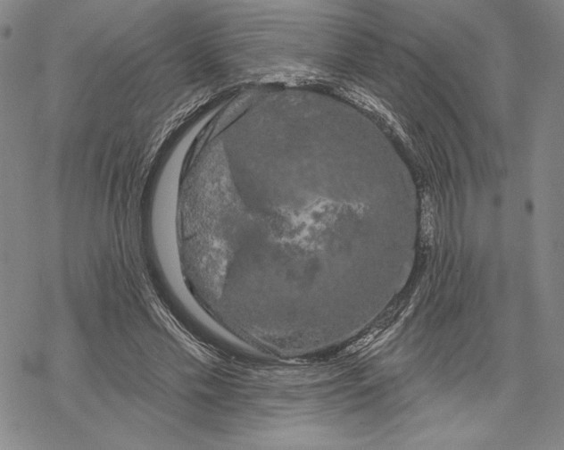 X0000068770589200605191650