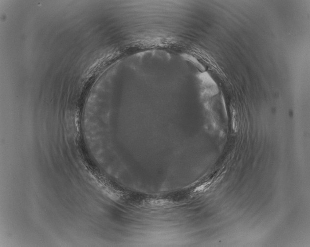 X0000068770590200605191650