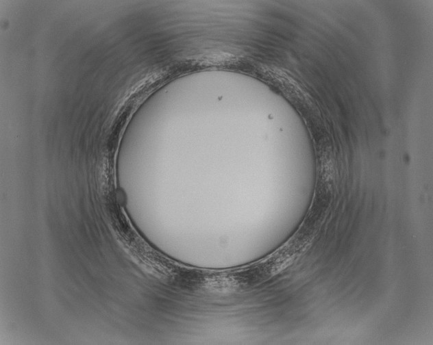 X0000068770591200605191650