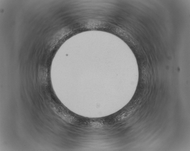 X0000068770592200605191650