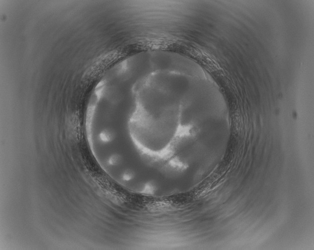 X0000068770594200605191650