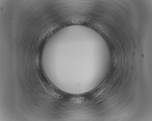 X0000068770595200605191650