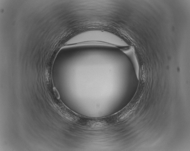 X0000068770597200605191650