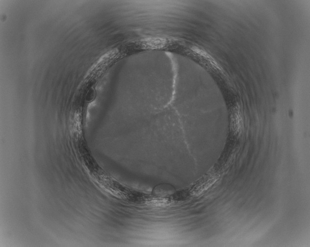 X0000068770598200605191650