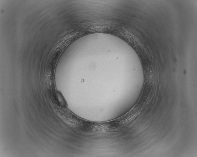 X0000068770599200605191650