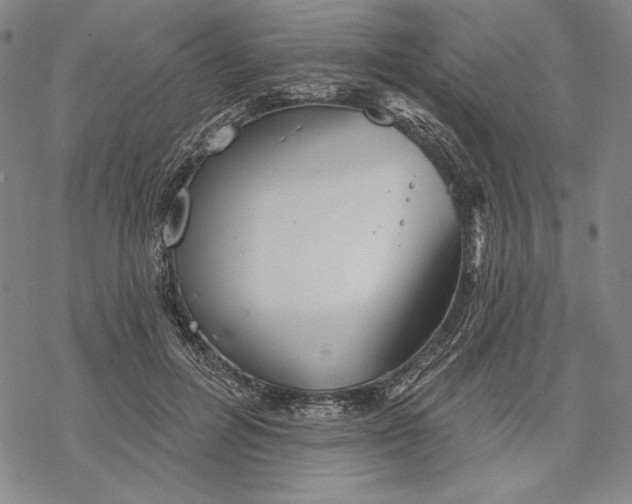 X0000068770600200605191650