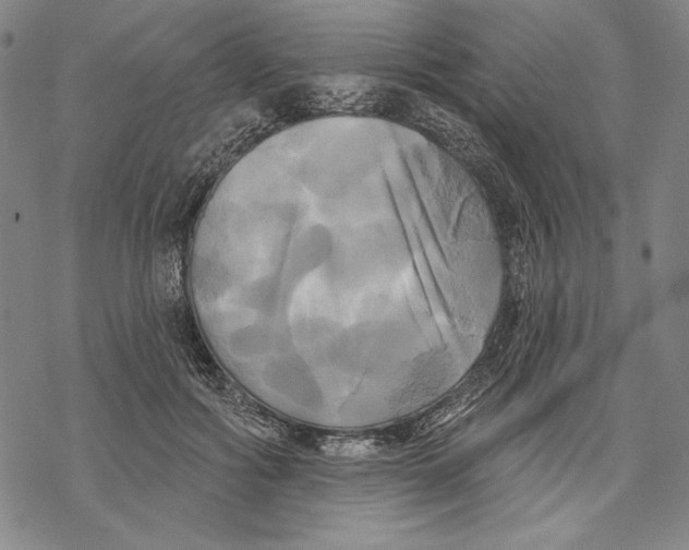 X0000068770602200605191650