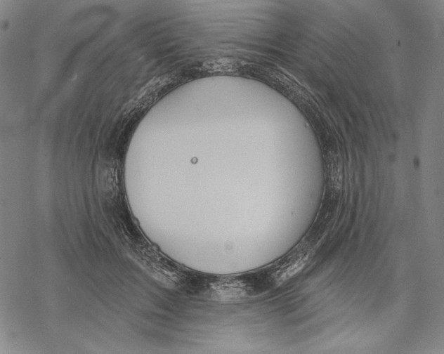 X0000068770603200605191650