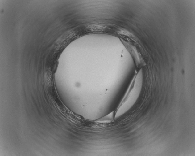 X0000068770604200605191650