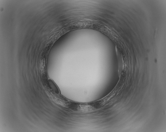 X0000068770605200605191650