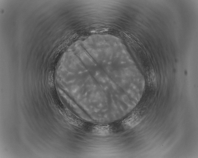 X0000068770606200605191650