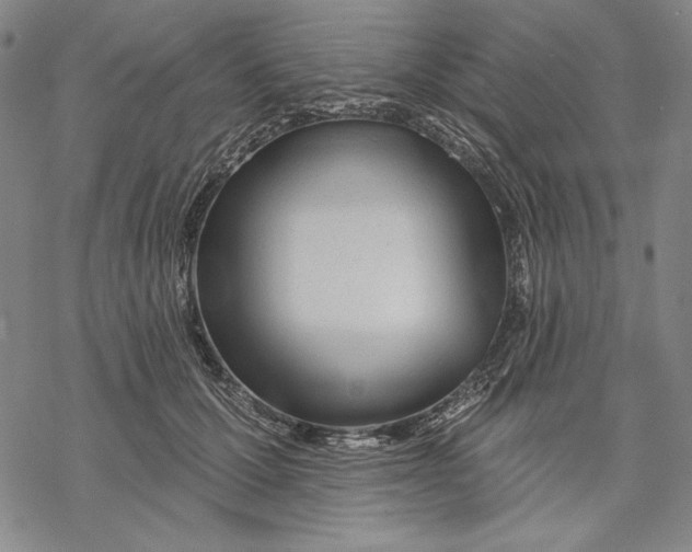 X0000068770607200605191650