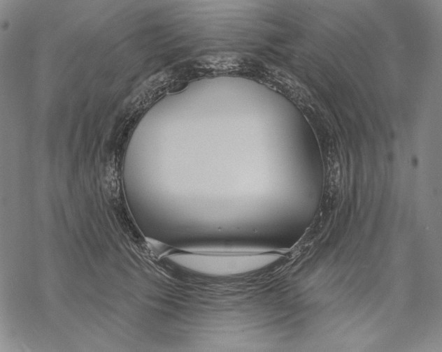 X0000068770609200605191650