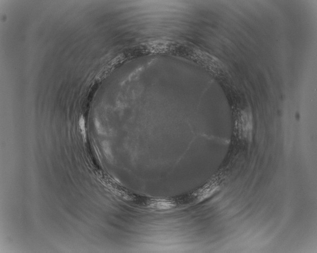 X0000068770610200605191650