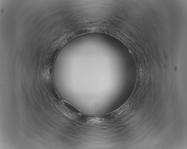 X0000068770611200605191650