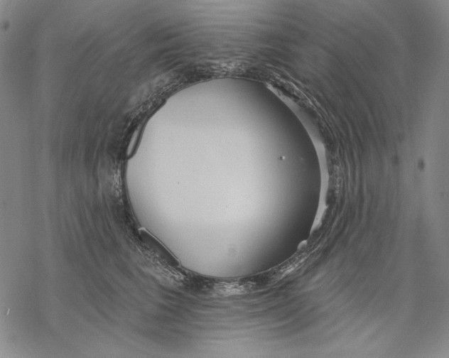 X0000068770613200605191650