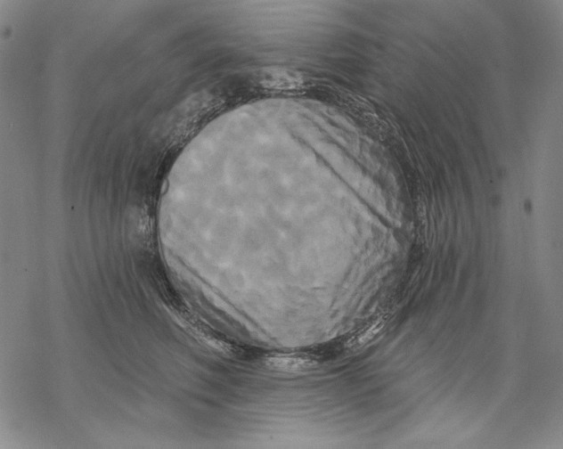 X0000068770614200605191650