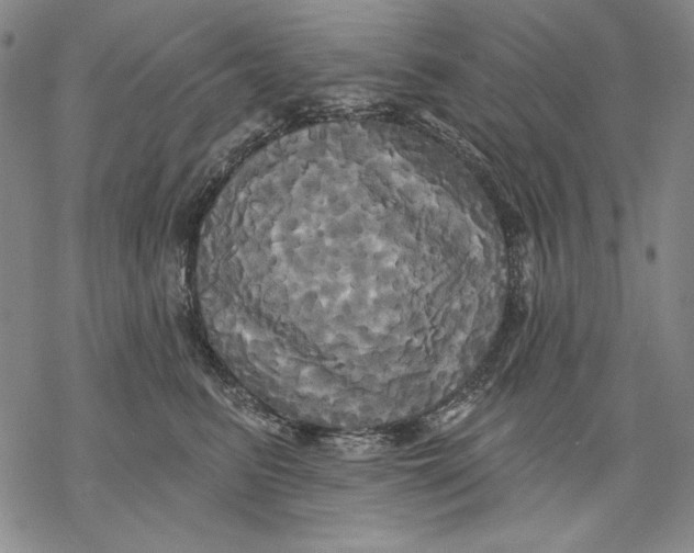 X0000068770615200605191650