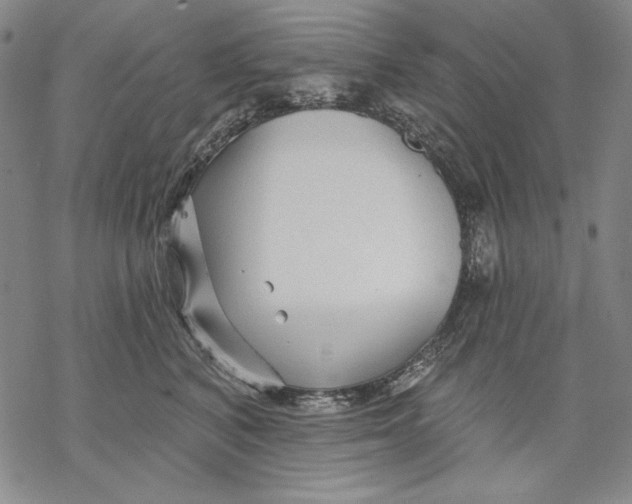 X0000068770616200605191650