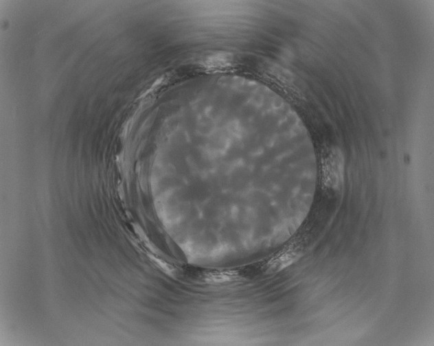 X0000068770618200605191650