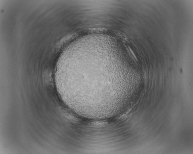 X0000068770619200605191650