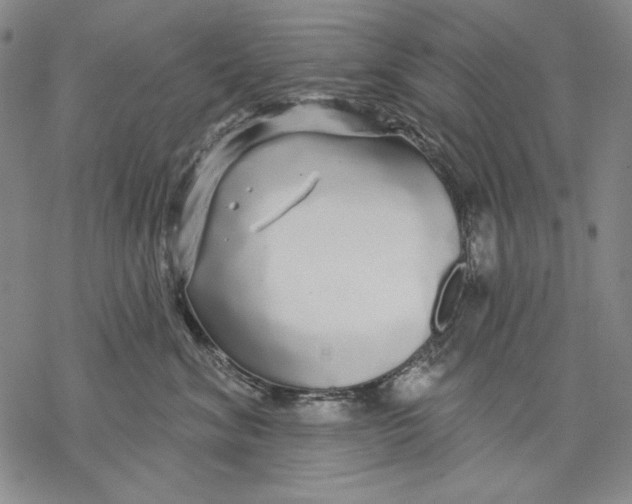 X0000068770620200605191650