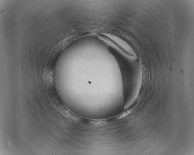 X0000068770621200605191650