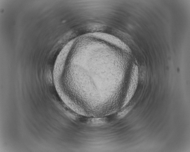 X0000068770622200605191650