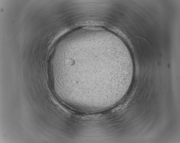 X0000068770625200605191649