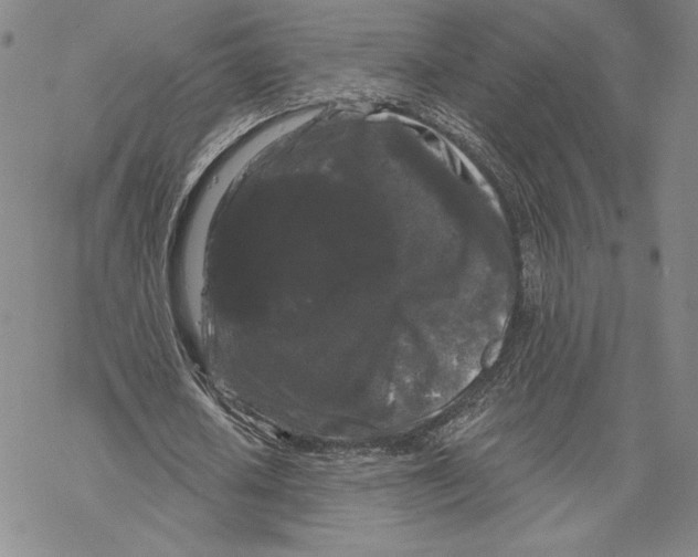 X0000068770626200605191649