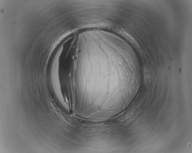 X0000068770628200605191649